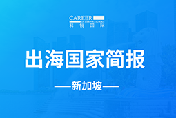 威九国际V9GO GLOBAL | 新加坡国家简报